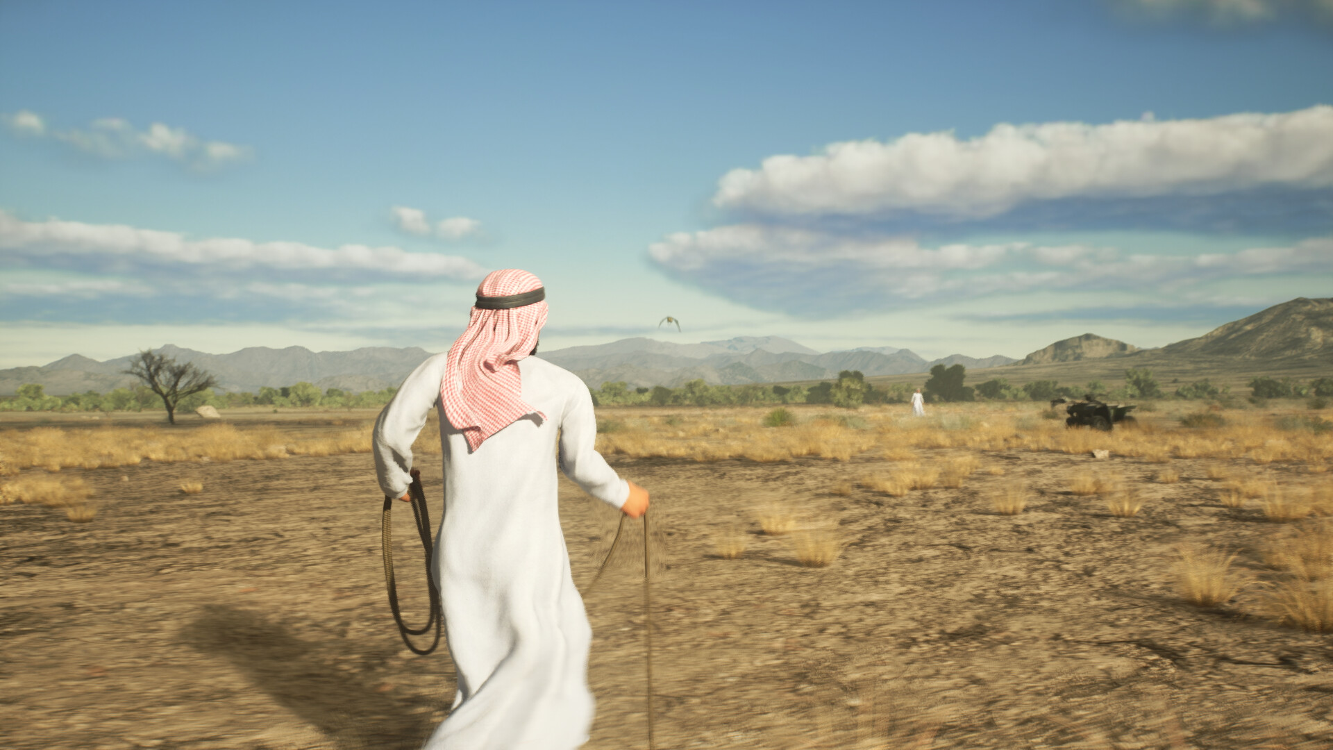 Enter Falconry screenshot #3