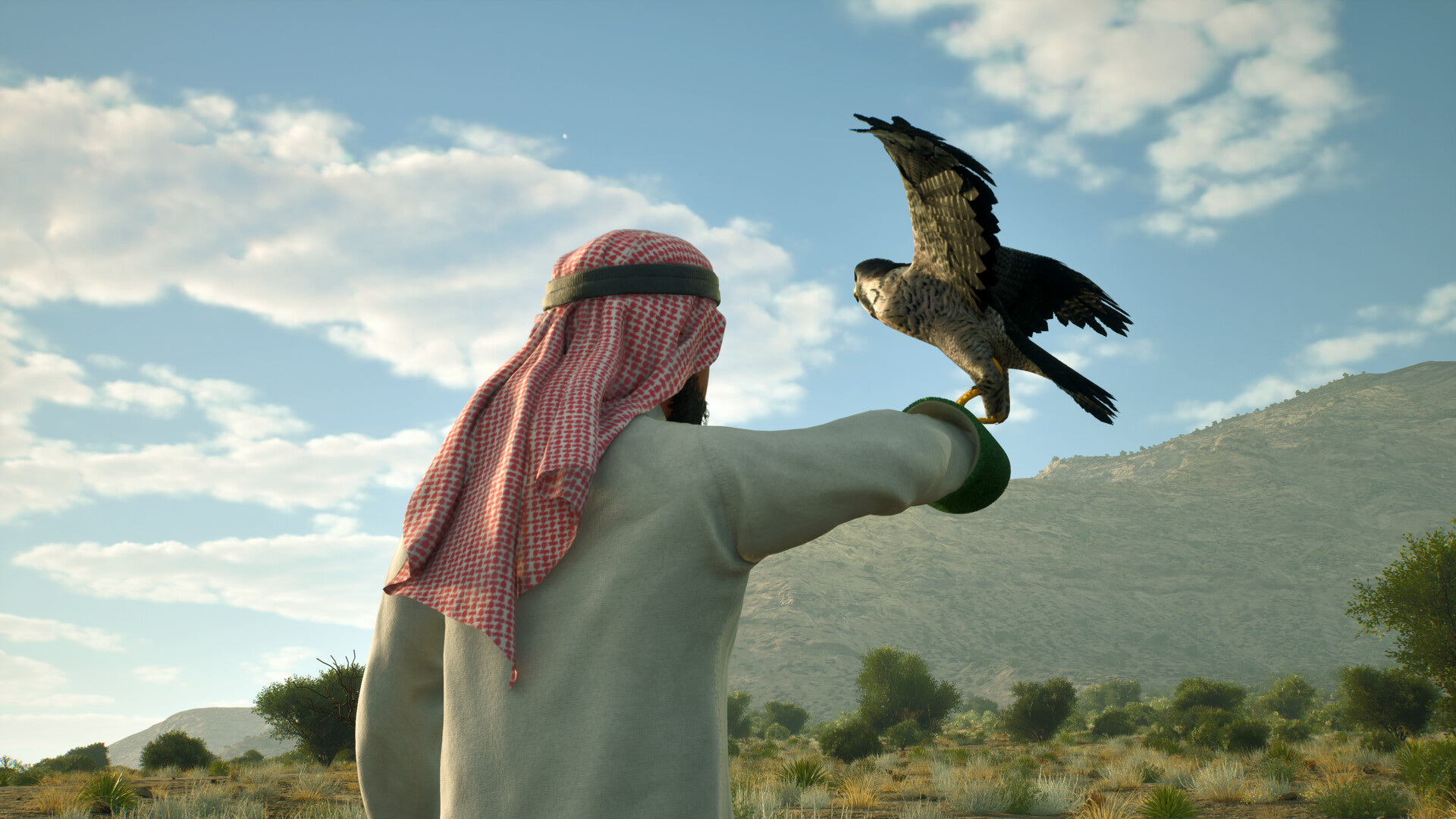 Enter Falconry screenshot #2