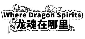 Where Dragon Spirits 龙魂在哪里