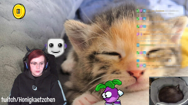StreamAnimations Screenshot