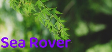 Sea Rover banner