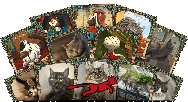 Hidden Cats in Istanbul image