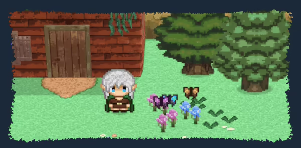 Shalnor: Silverwind Saga video 1