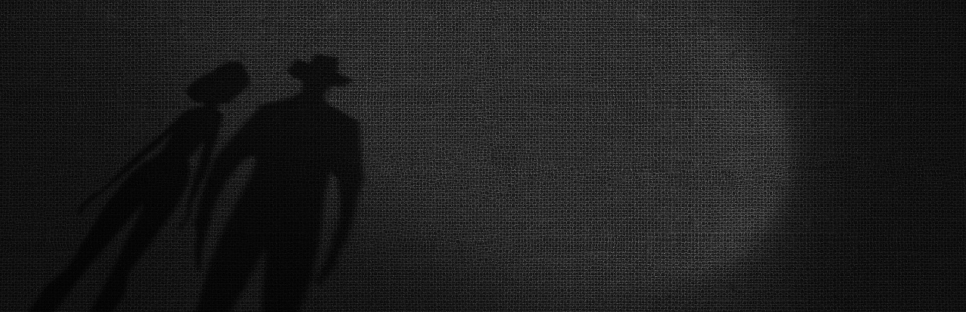 Frankie and Suede Private Detectives