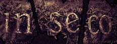 Inseco cover