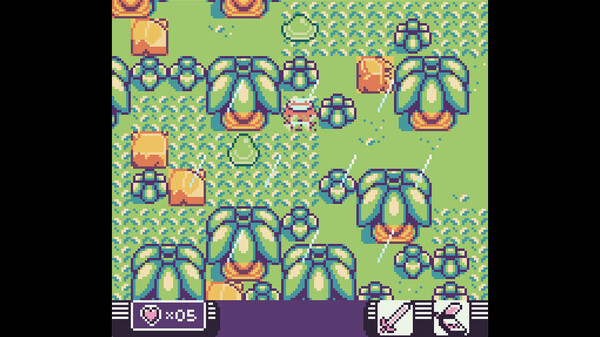 Toni Island Adventure.