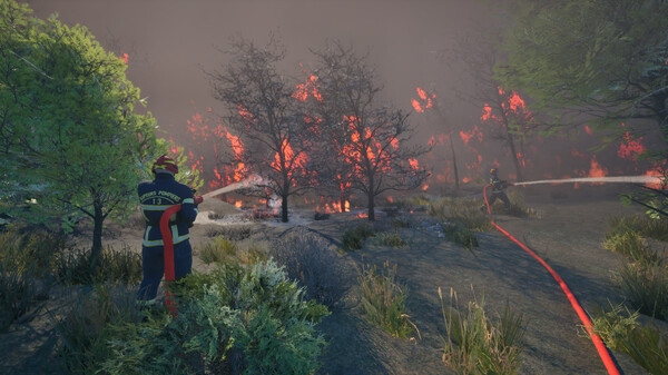 Rescue Ops: Wildfire