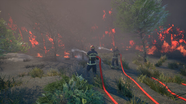 Rescue Ops: Wildfire