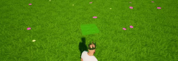 WC Dream video 2