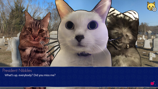 Cat President: 3rd-Rate Candidate screenshot 5