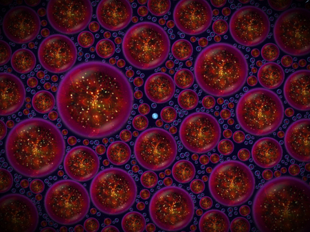 Screenshot z Osmos