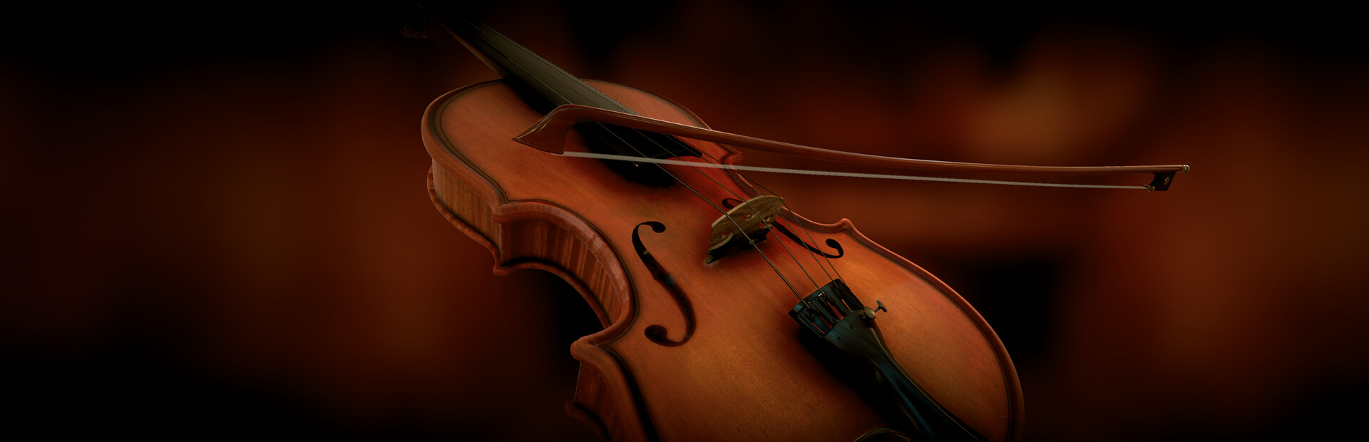 The Violinist
