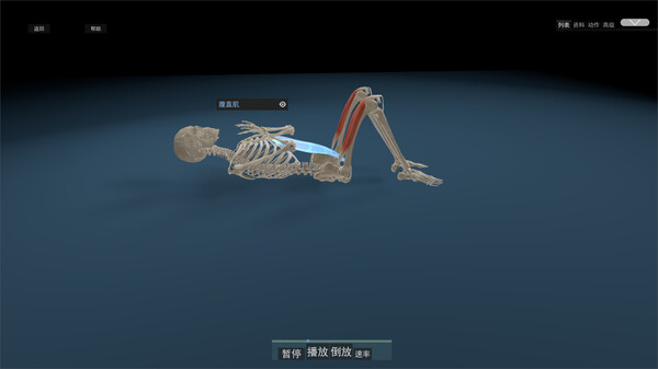 Kinetic Anatomy 3D screenshot 2