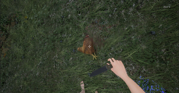 Shallow Sea Roaming Screenshot