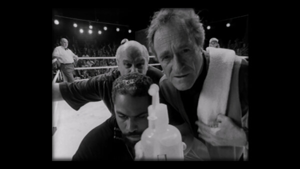 PrizeFighter - Heavyweight Editionfor windows and Linux 1