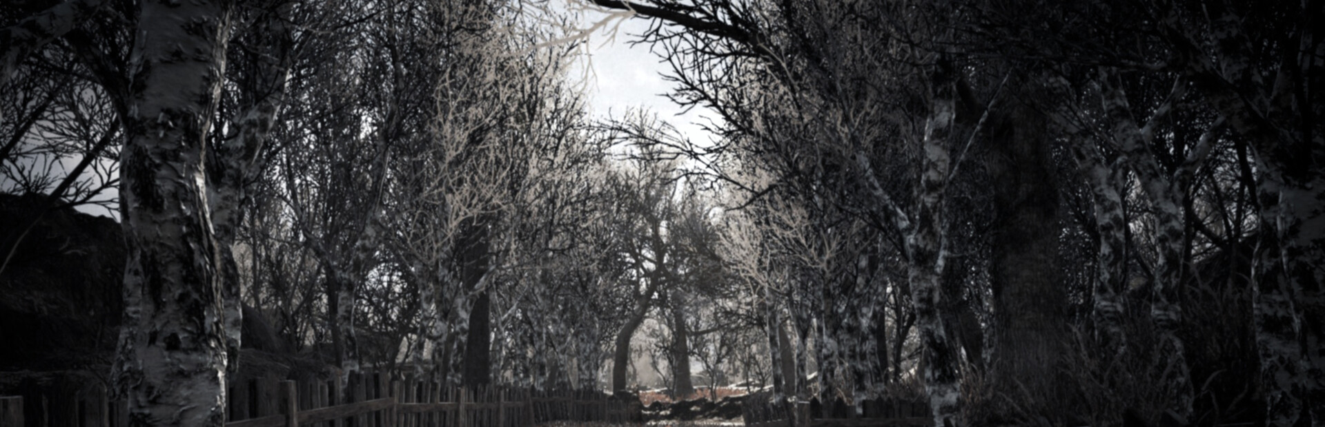 Lost Dreams