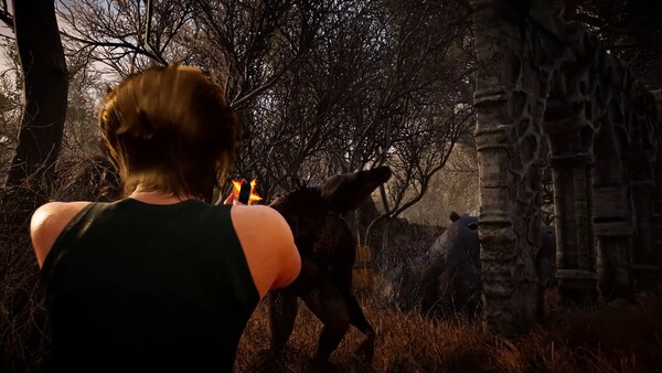 Capibara Lost Dreams.