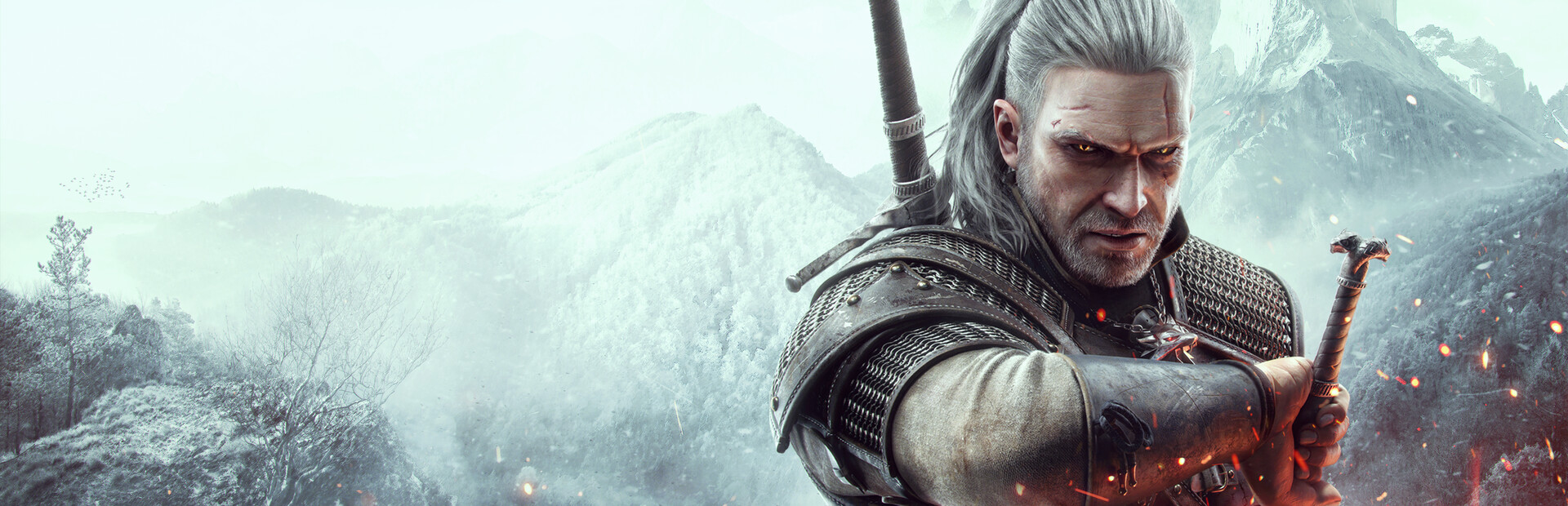 The Witcher 3: Wild Hunt