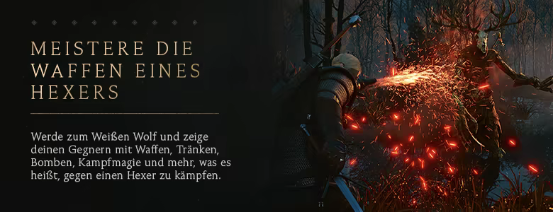 The Witcher 3: Wild Hunt - Complete Edition thumbnail