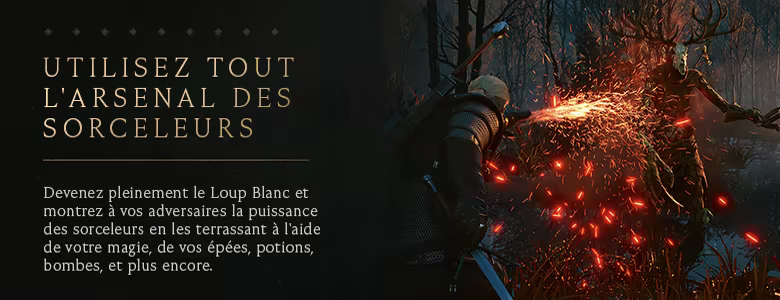 The Witcher 3: Wild Hunt - Complete Edition thumbnail
