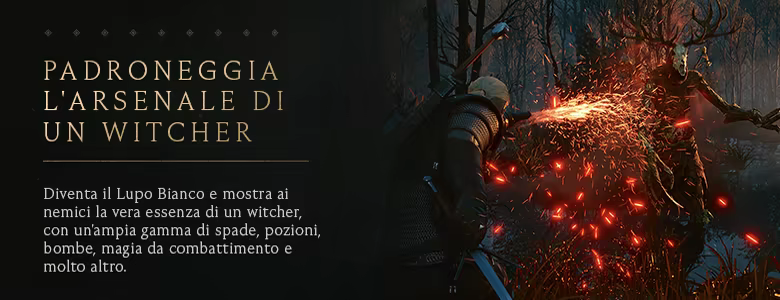 The Witcher 3: Wild Hunt - Complete Edition thumbnail