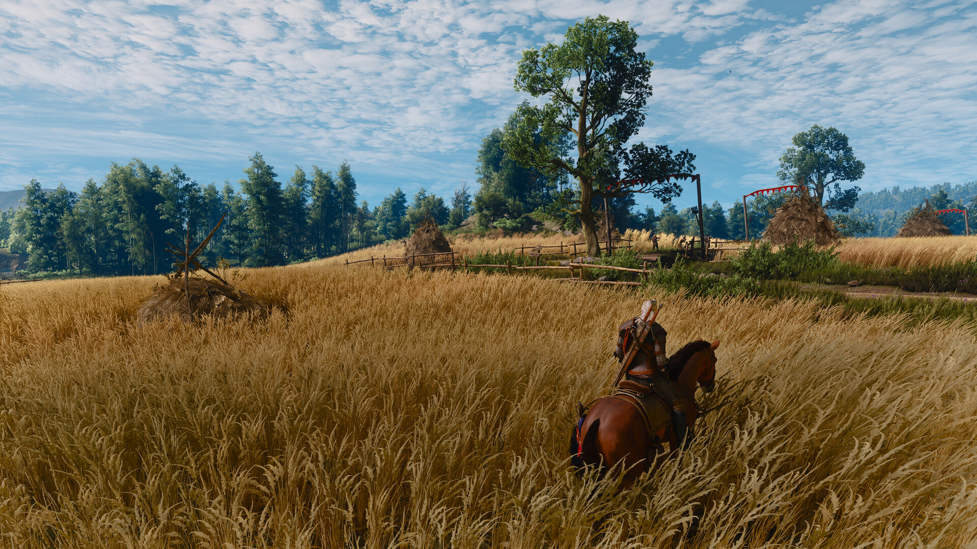 The Witcher 3: Wild Hunt — Remastered screenshot #17