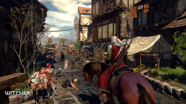 The Witcher® 3: Wild Hunt Screenshot