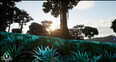 Screenshot #7