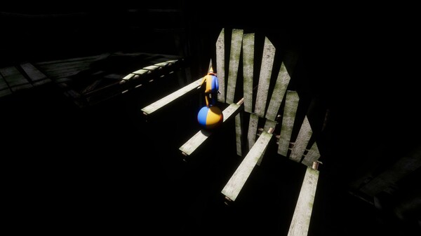 Circus Challenge Screenshot