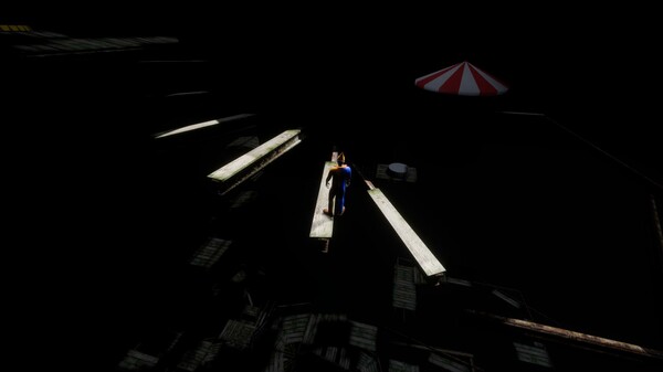 Circus Challenge Screenshot