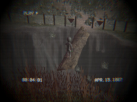 Homing Instinct screenshot 6