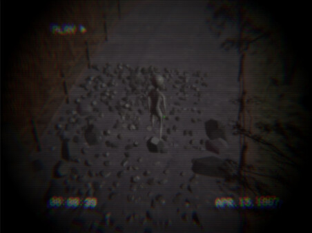 Homing Instinct screenshot 3