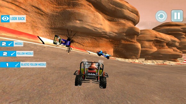 Karting with Animals.