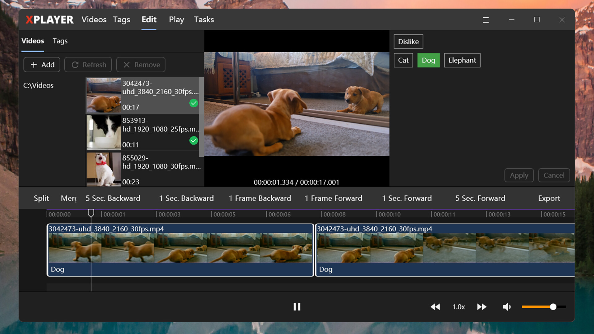 XPlayer screenshot 3