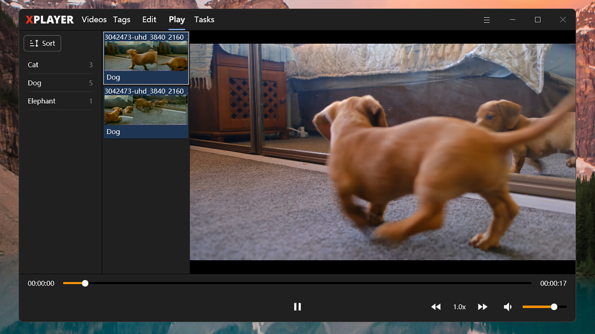 XPlayer screenshot 4