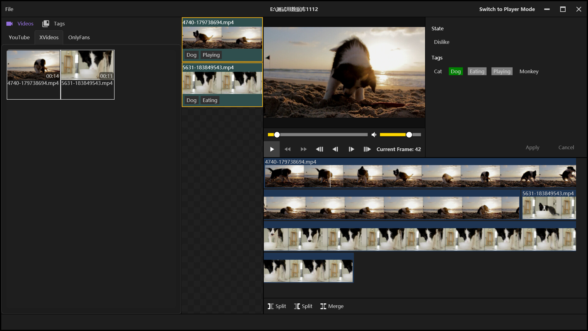 PornPlayer PC gameplay screenshot 6 of 6