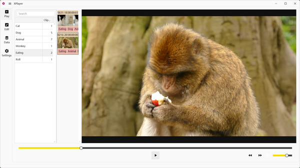 XPlayer Screenshot