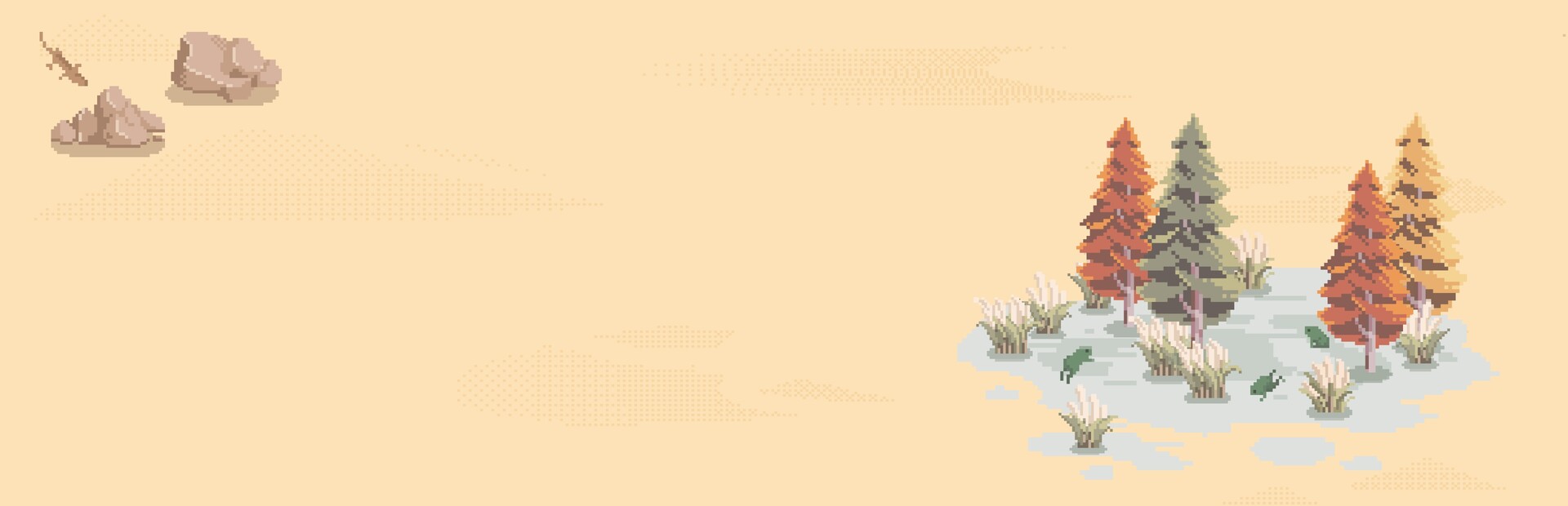 Oasis
