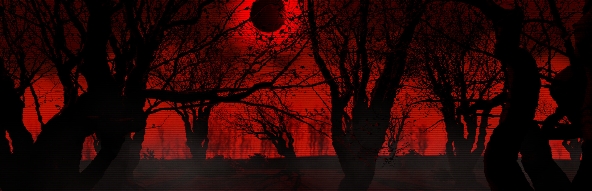 A Twisted Place