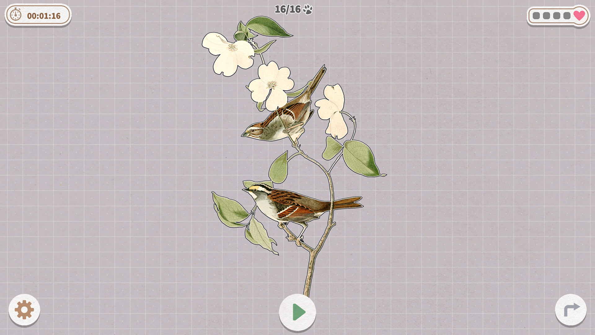 Birds Huddled Together screenshot #4