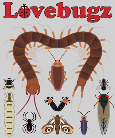 Lovebugz: An Anthro Insect Dating Sim