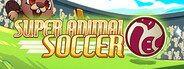 Capsule media