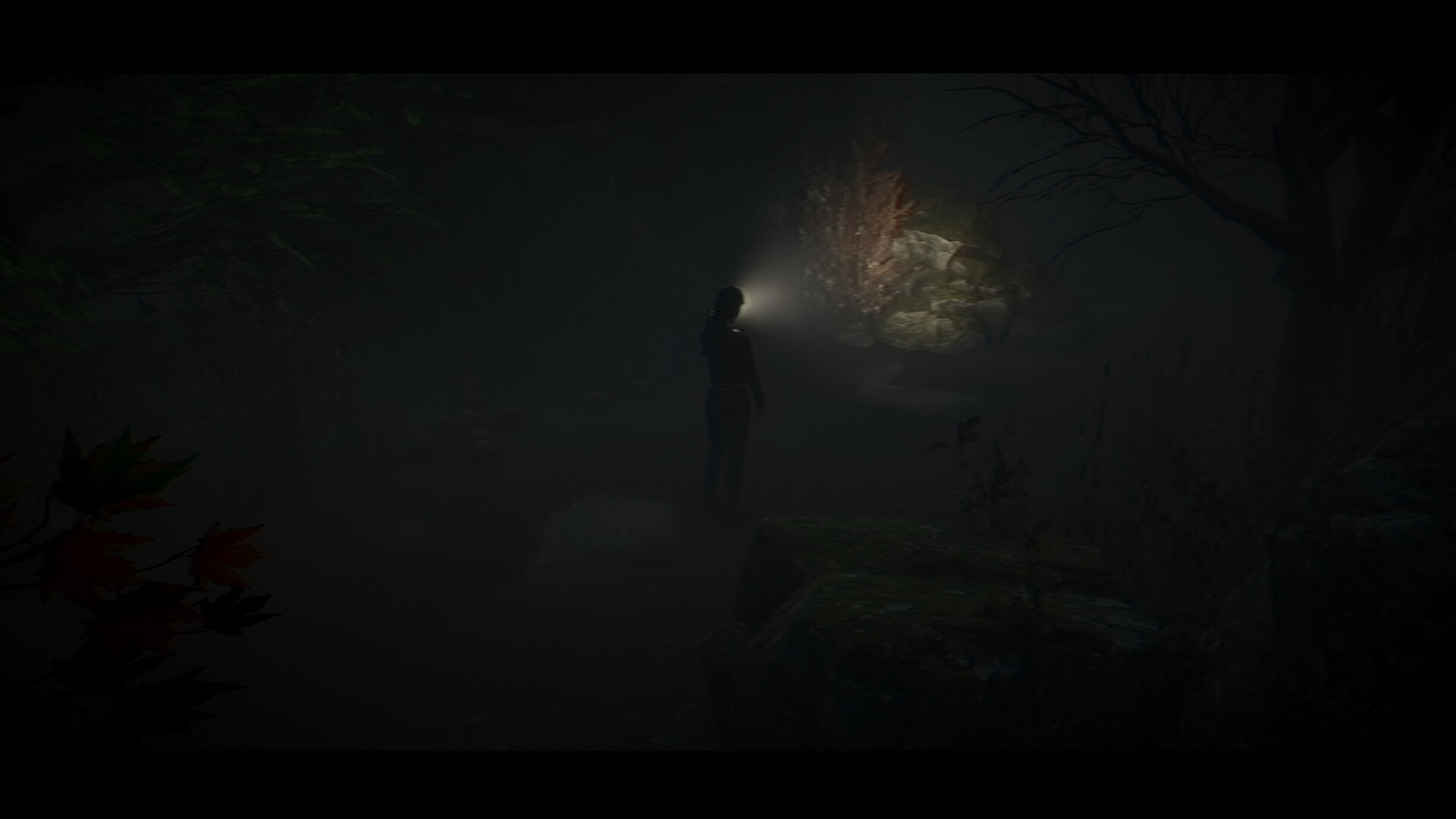 Inherited Shadows screenshot #8