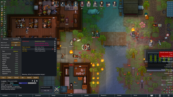RimWorld screenshot