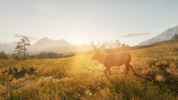 Primal Survival Wars — 11