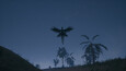 Screenshot #9