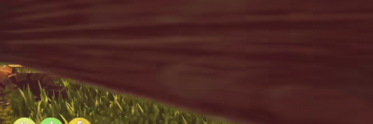 Forgotten Skies video 1