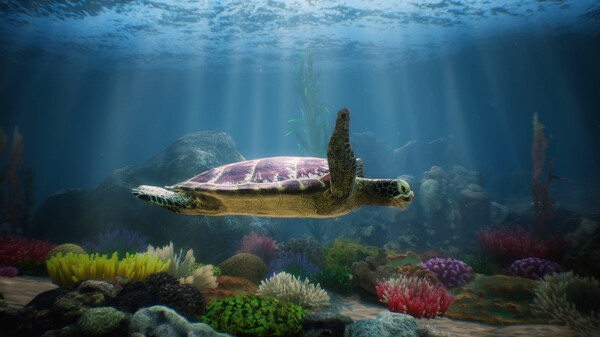 Knowledge VR Pack screenshot 3