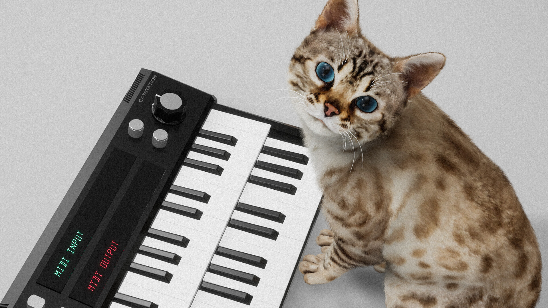 Meowstro screenshot #7