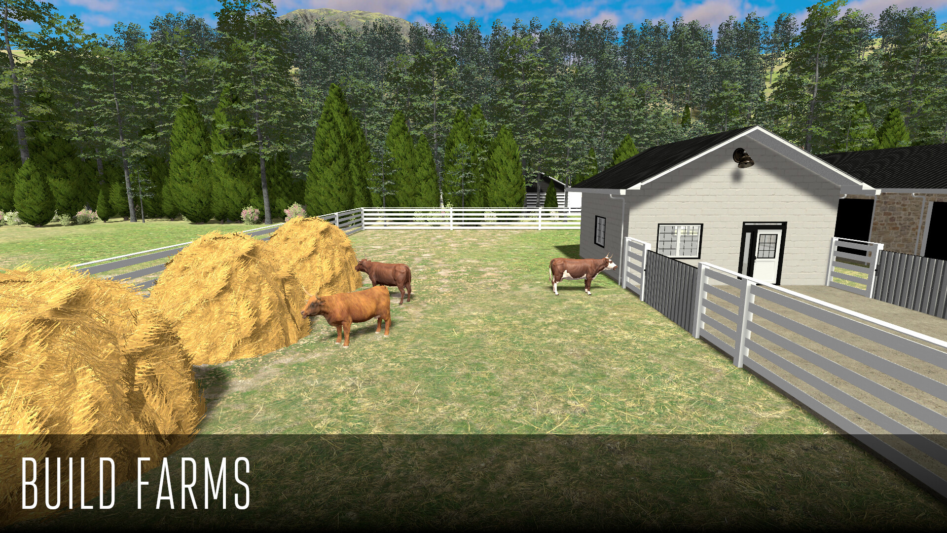 Field & Sky screenshot 2
